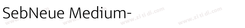 SebNeue Medium字体转换